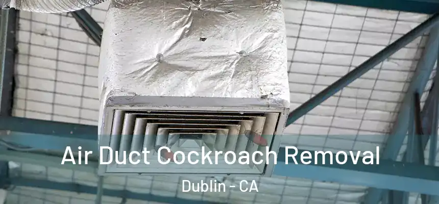  Air Duct Cockroach Removal Dublin - CA