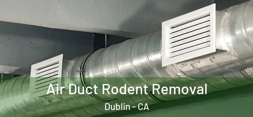  Air Duct Rodent Removal Dublin - CA