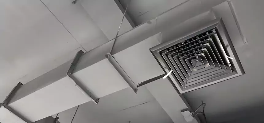 Our Rodent Droppings In Vents Services in Dublin, CA