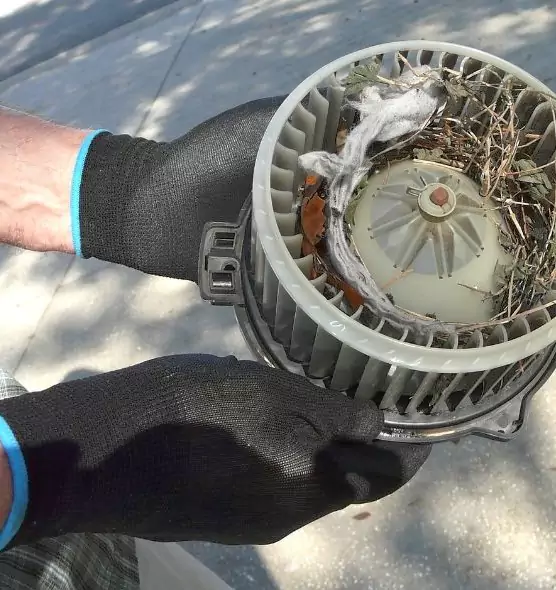 About Air Duct Mice Removal in Dublin, CA