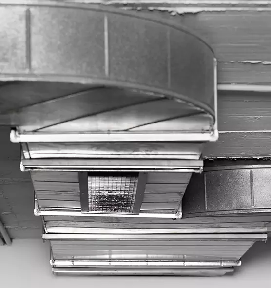 Professional Air Duct Pest Removal in Dublin, CA