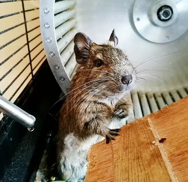 Why Homeowners & Businesses Trust Us Dublin, CA