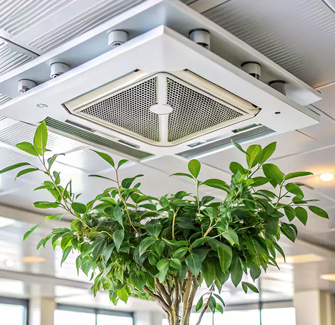 Why Homeowners & Businesses Trust Us in Dublin, CA