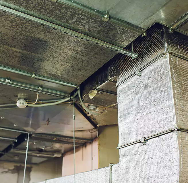 Why Homeowners & Businesses Trust Us in Dublin, CA?